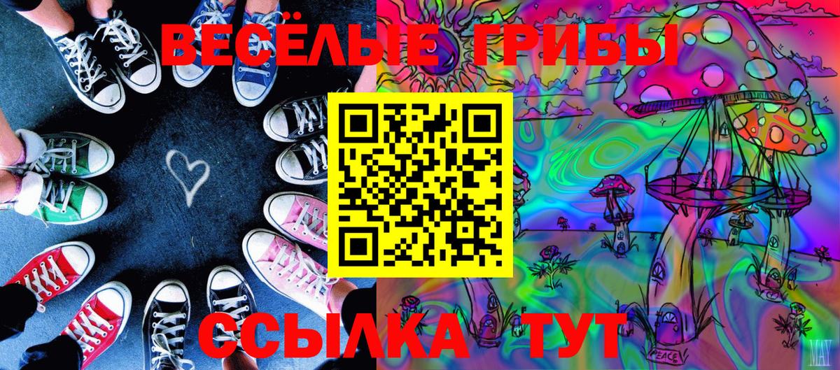Павлово  Псилоцибиновые грибы мицелий  магазин    Вход с VPN  Галлюциногенные грибы мицелий 