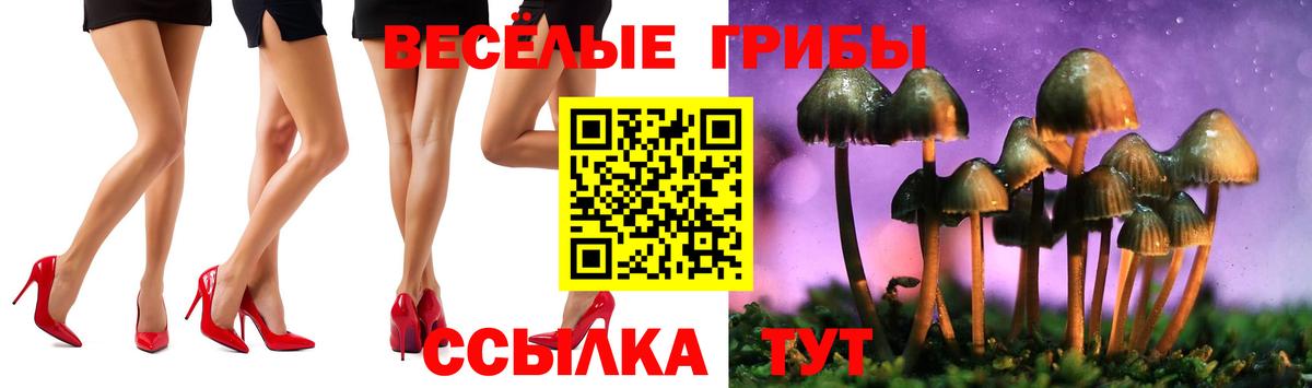 Псилоцибиновые грибы прущие грибы Павлово